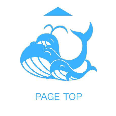 PAGE TOP